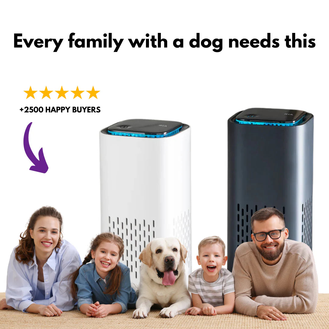 The Pet Air Purifier