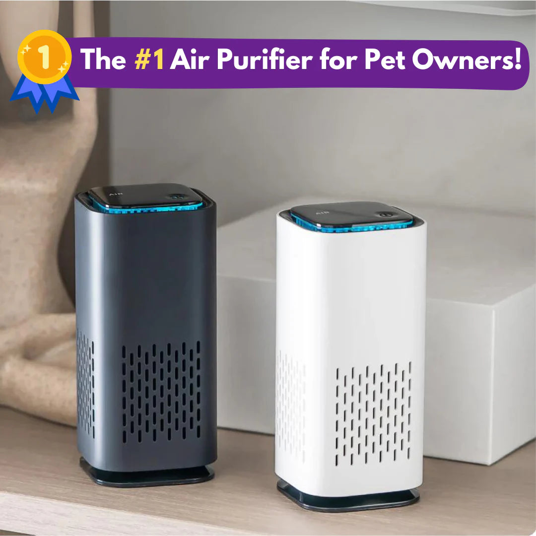 The Pet Air Purifier