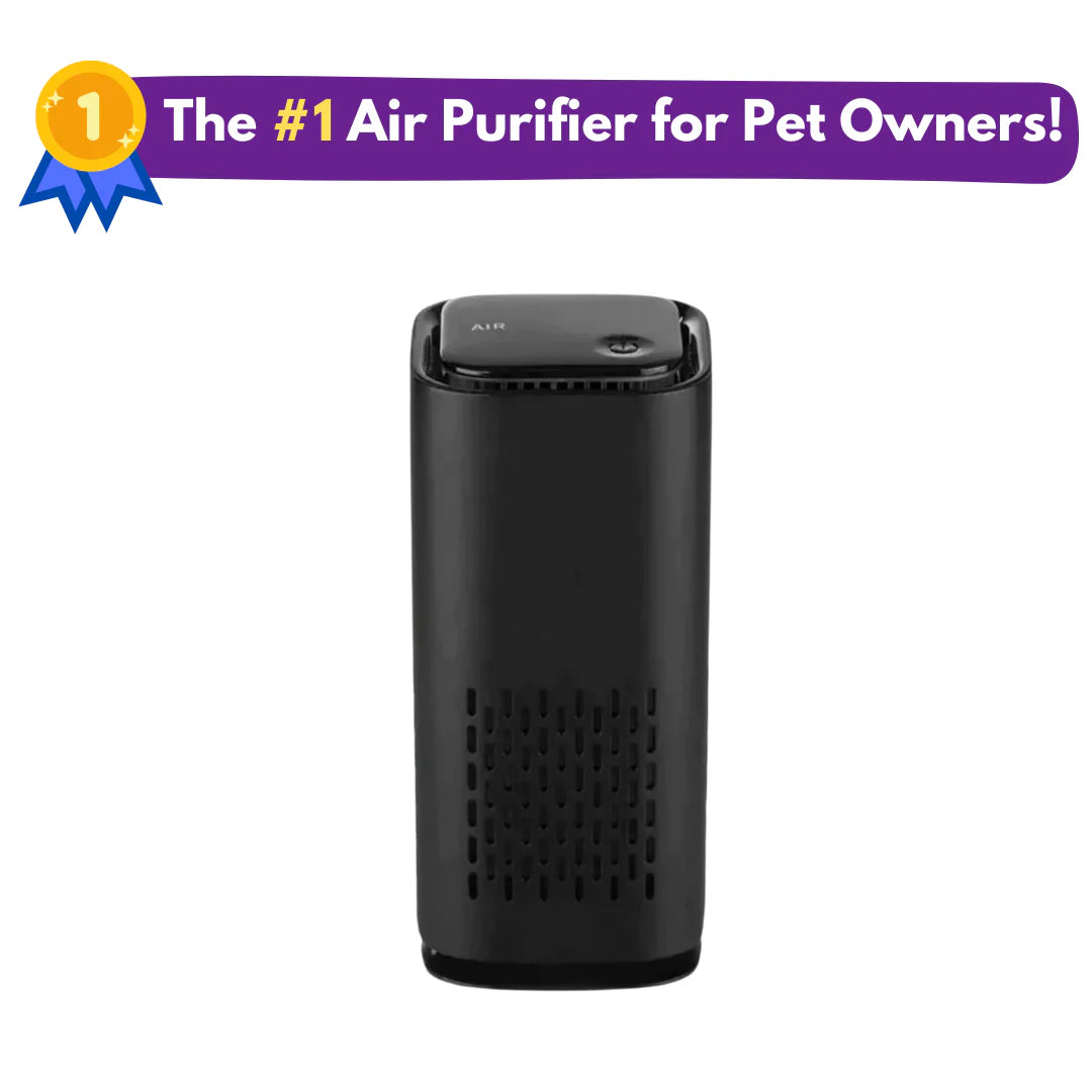 The Pet Air Purifier