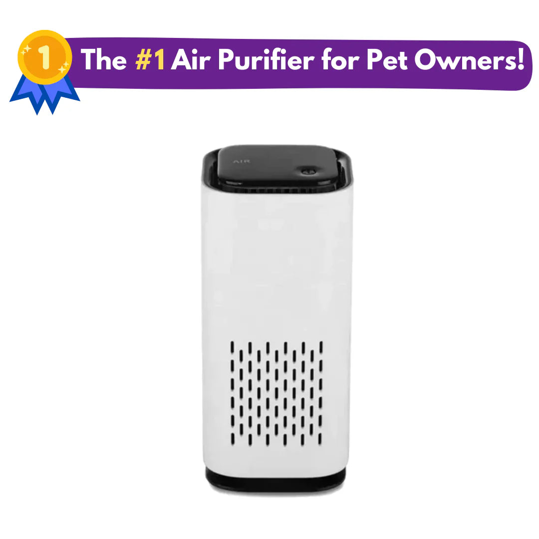 The Pet Air Purifier