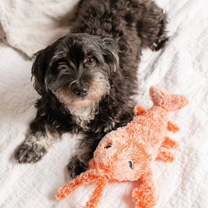 Lobster Interactive Dog Toy