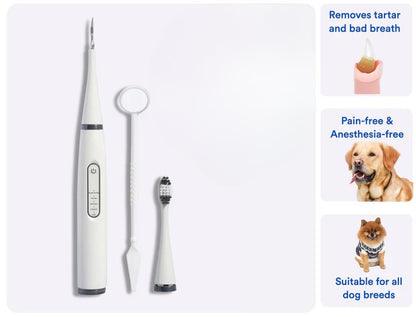 Pet Oral Care