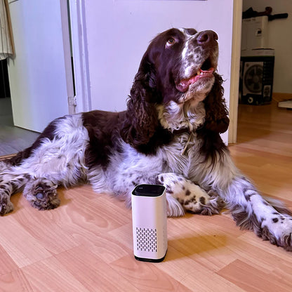 The Pet Air Purifier